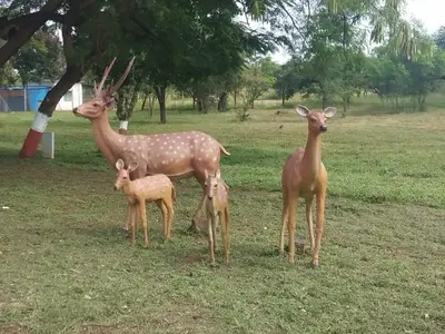 Animal installations